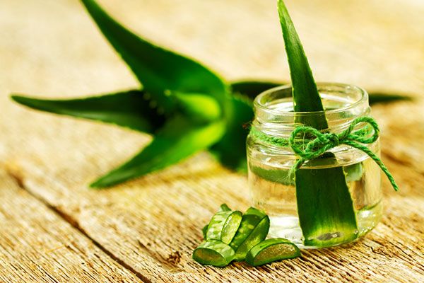 Aloe s medom: ljekovita svojstva, upotreba, kontraindikacije i recepti