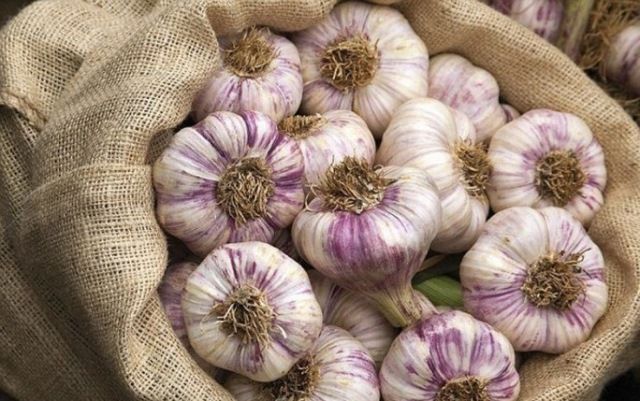 7 načina za pohranu češnjaka kod kuće u stanu