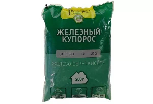 Що краще – залізний або мідний купорос для винограду та дерев: особливості препаратів, у яких випадках краще застосовувати