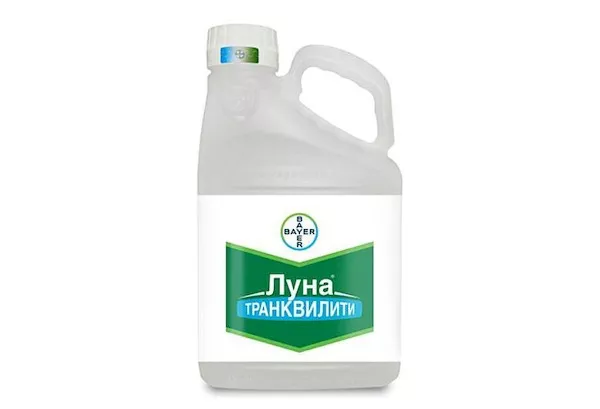 Фунгіцид Місяць транквіліті: інструкція із застосування та аналоги
