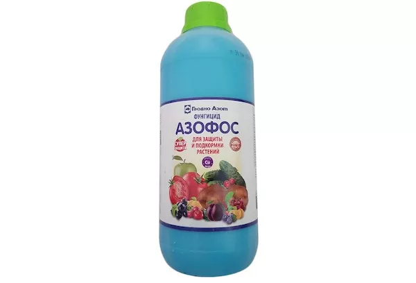 Fungicid Azofos: navodila za uporabo za maline, borovnice, jagode, drevesa: opis in delovanje zdravila