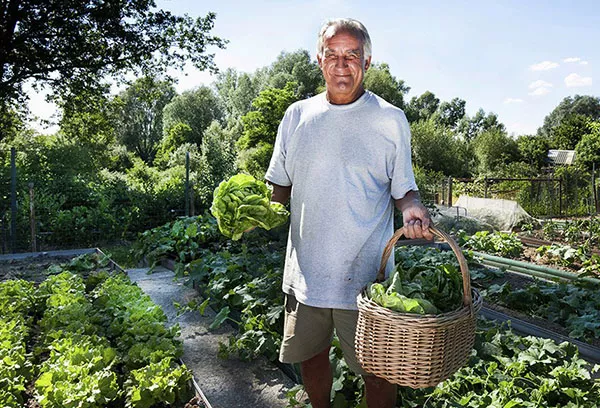 Kiedy i co można leczyć amoniakiem w ogrodzie i w ogrodzie