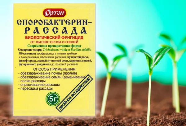 «Споробактерин» для рослин – інструкція із застосування: склад, принцип дії, особливості застосування для різних культур