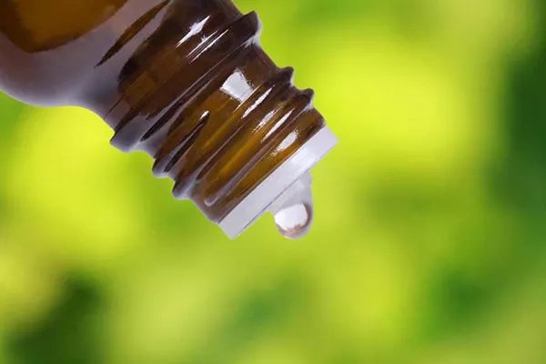 Amoniak pre uhorky: prečo postrekovať uhorky roztokom amoniaku a ako to urobiť správne
