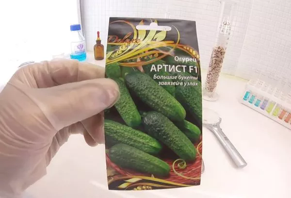 Художник на краставици: описание на сорта със снимка, отглеждане, прегледи на семена и реколта