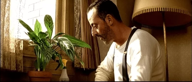 Kwiat z filmu Leon i inne rośliny z filmów