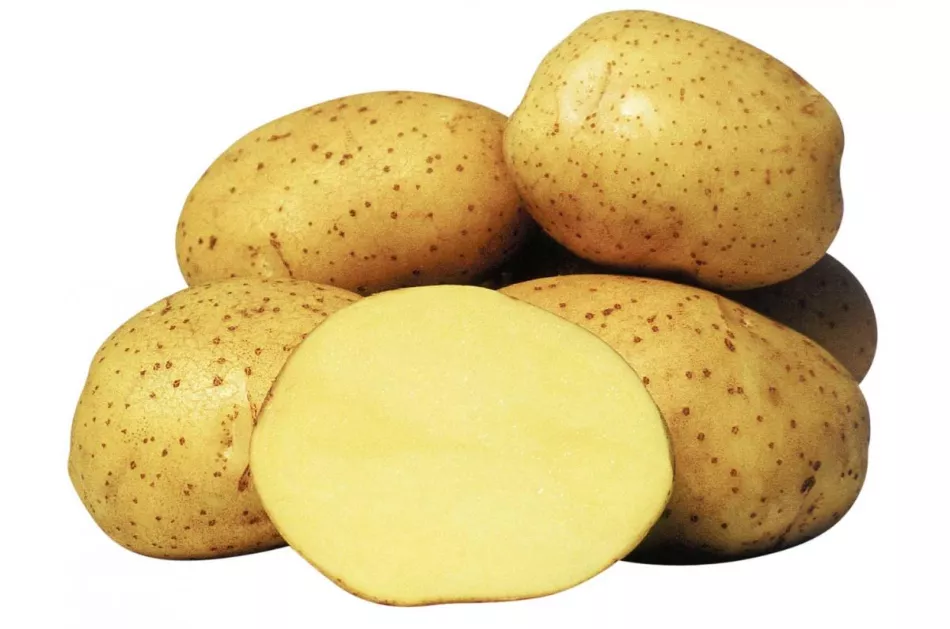 Potato Colette, popis odrůdy s fotografiemi a recenzemi, charakteristika a pěstování