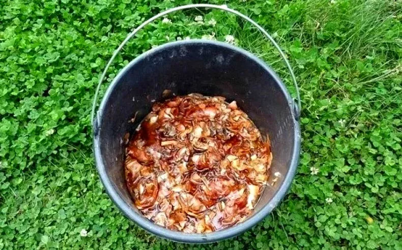 Cesnakové a cibuľové šupky pre zdravie uhoriek