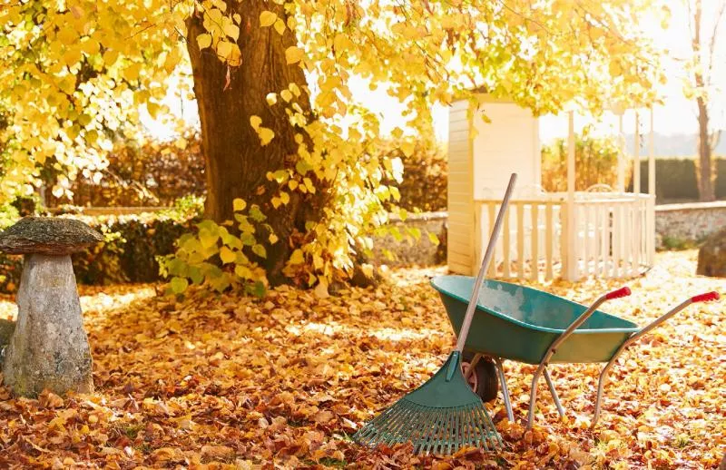 Kaj početi na podeželju novembra: akcijski načrt