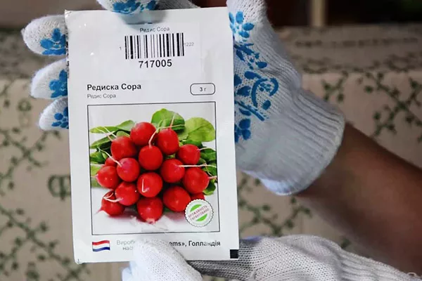Rotkvica Sora: opis, značajke sorte, poljoprivredna tehnologija