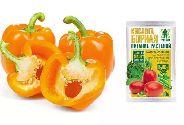 Postrek papriky kyselinou boritou: ako, kedy a prečo